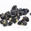 Secado Wolfberry Lycium Barbarum Goji Berry para la venta